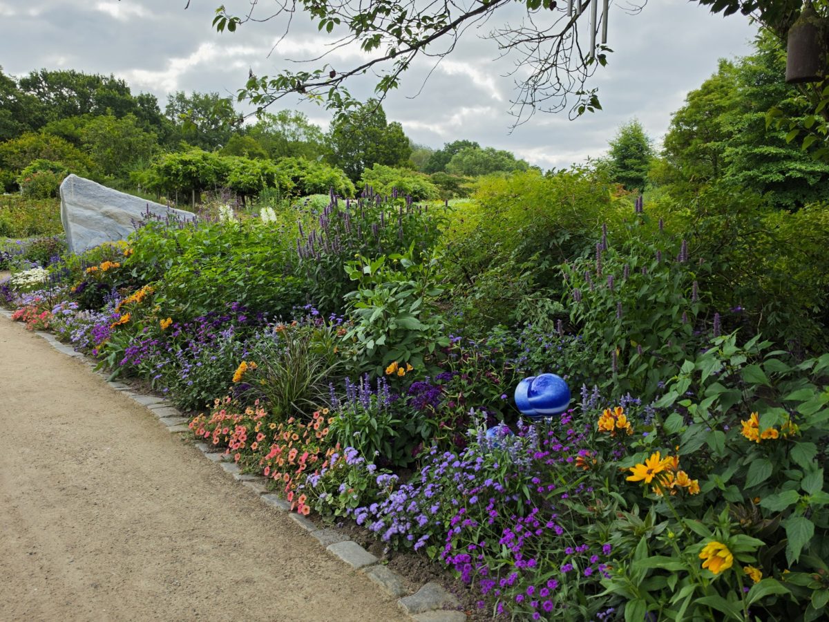 Blauer Weg im Arboretum