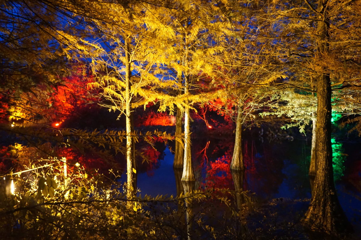Herbstfest im Arboretum