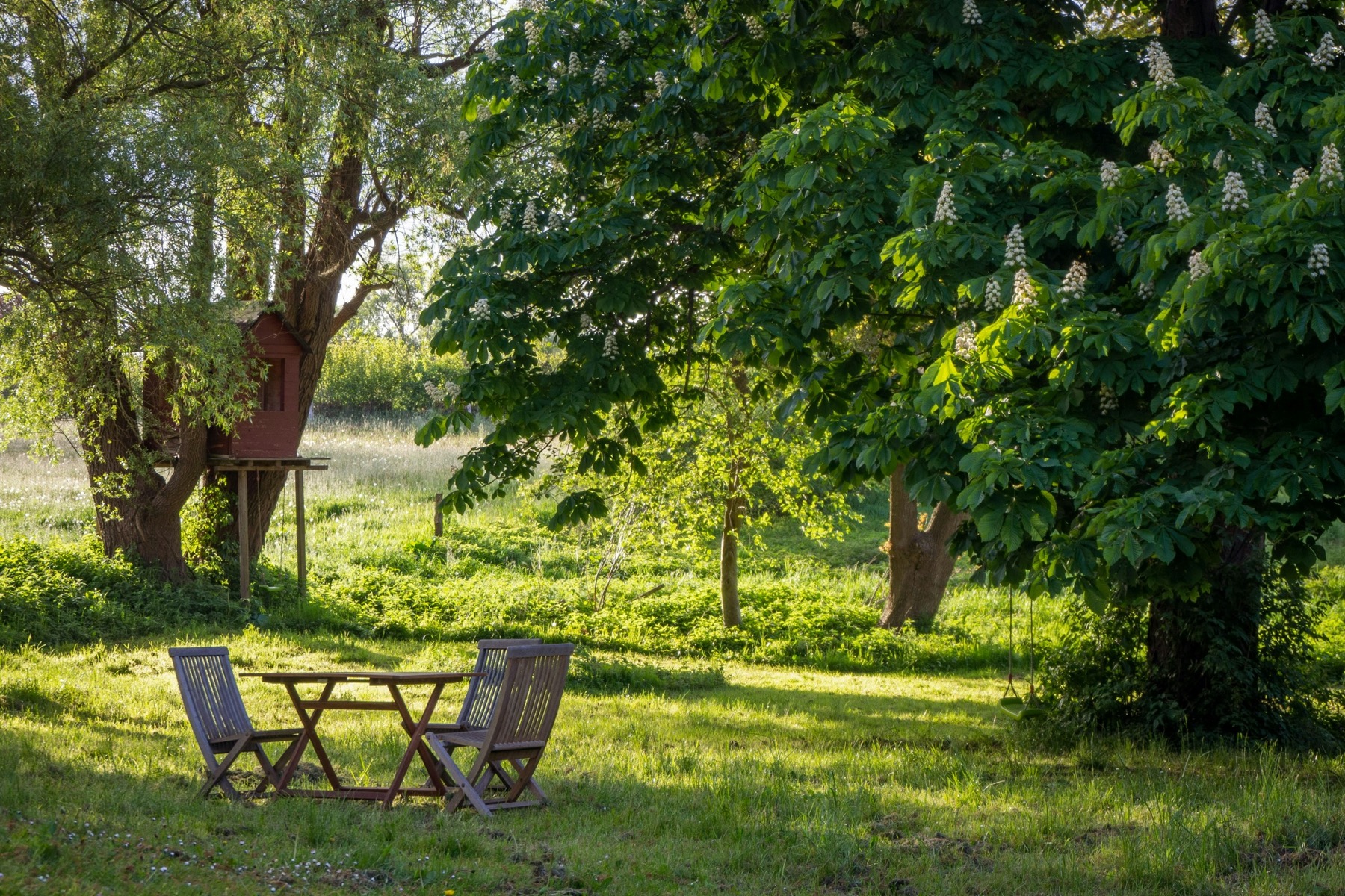 Grüner Garten mit altem Baumbestand