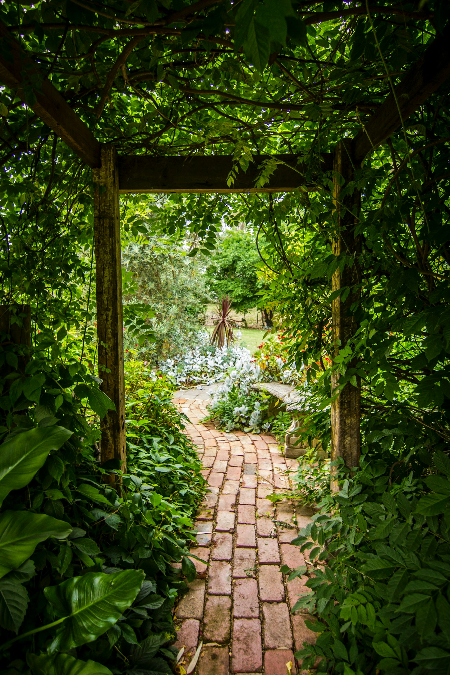 Begrünter Gartenweg
