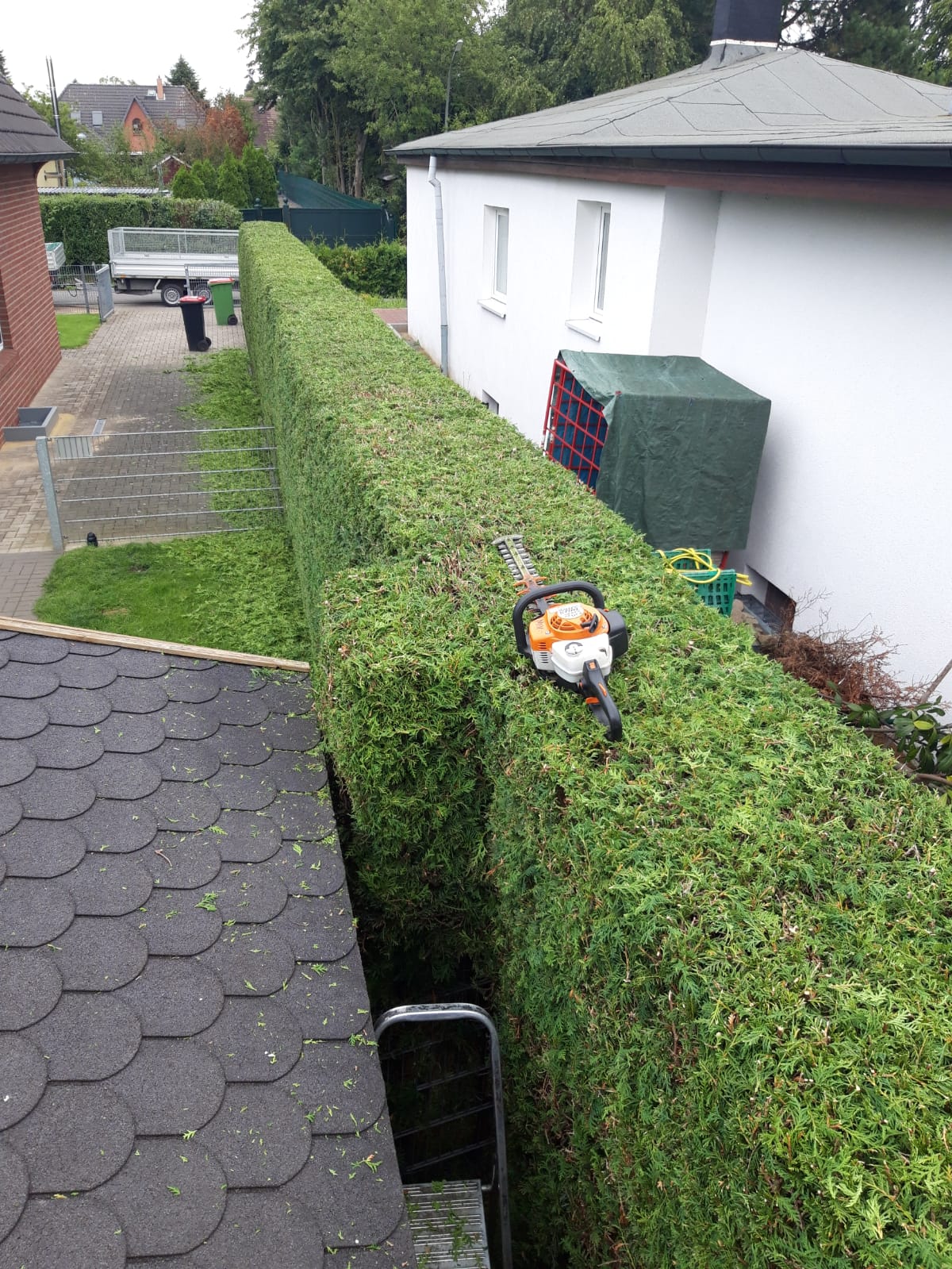 Heckenpflege von Arslan Garten-Löwe